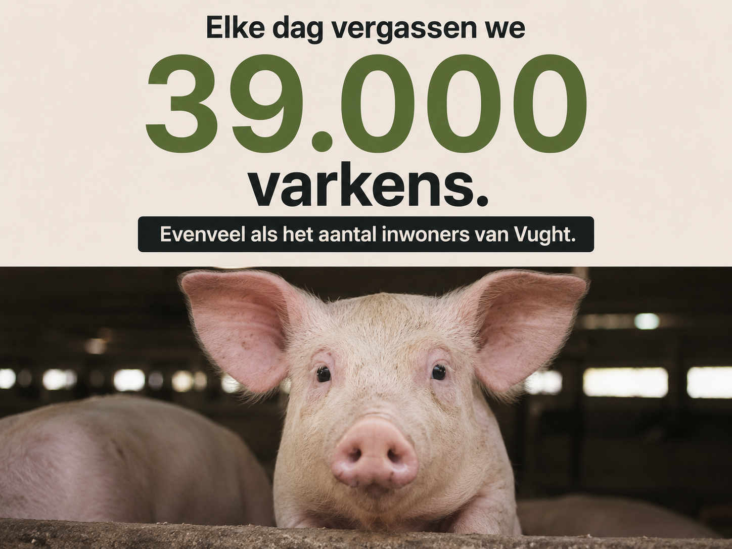 Perspectief op aantallen landdieren 11